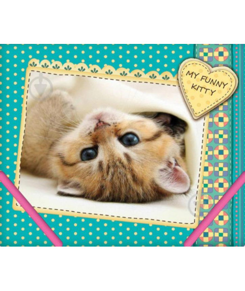 Mapa cu elastic CFS B5 (plastic/pisica) CF31642-04